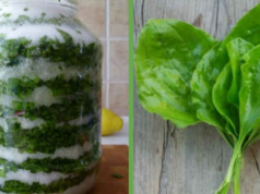 Sirup od bokvice – prirodni lijek za pluća, kašalj i sluz u disajnim putevima Sirup od bokvice - prirodni lijek za pluća, kašalj i sluz u disajnim putevima