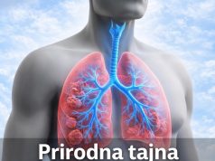 Euphorbia hirta: 9 ključnih zdravstvenih prednosti ove svestrane biljke