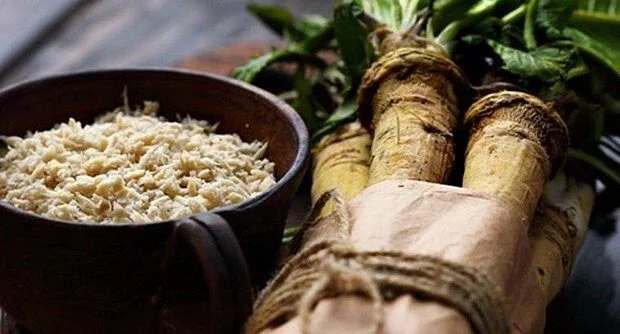 Poznati travar preporučuje ovaj NAJZDRAVIJI KORJEN NA SVIJETU: Pomaže u borbi protiv kancera, liječi jetru, i jača libido! (RECEPT)