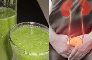 TAJNI RECEPT TRAVARA: Narodni lijek koji LIJEČI SVE INFEKCIJE bubrega i mokraćnih kanala TAJNI RECEPT TRAVARA: Narodni lijek koji LIJEČI SVE INFEKCIJE bubrega i mokraćnih kanala