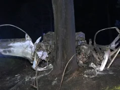 Tödlicher Baum-Crash in Brandenburg : Unfallopfer bis zur Unkenntlichkeit verbrannt
