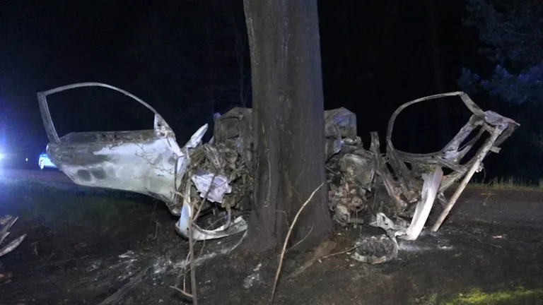 Tödlicher Baum-Crash in Brandenburg : Unfallopfer bis zur Unkenntlichkeit verbrannt