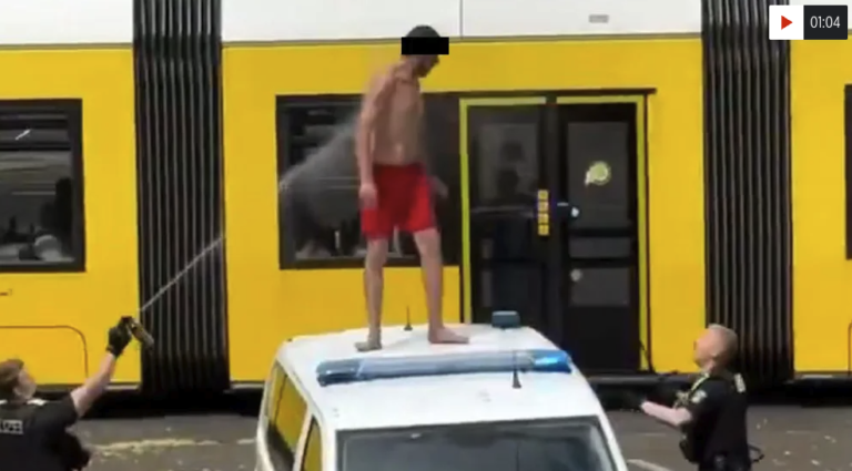 SCHOCK IN BERLIN: Mann bedroht Kinder und greift Polizisten brutal an