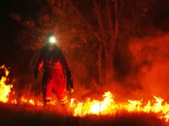 FEUERKATASTROPHE IN EUROPA: Tausende müssen ihre Häuser verlassen FEUERKATASTROPHE IN EUROPA: Tausende müssen ihre Häuser verlassen