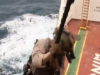 LANDUNGSEINSATZ AUF OFFENER SEE: US-Truppen übernehmen Schiffe mit mutmaßlichen Verbindungen zum Iran (VIDEO)