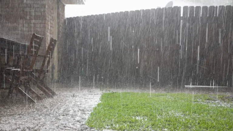 Mit diesen einfachen Kniffen bleibt Ihre Erde nach jedem Regen butterweich!