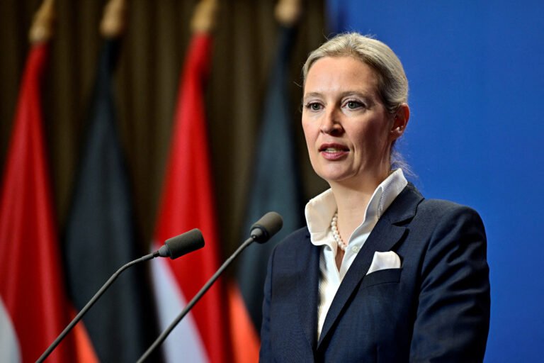 Dabei sagte sie, es sei ihr „egal“ : Wegen „Alice Merkel“: Weidel bestraft ihren Kritiker